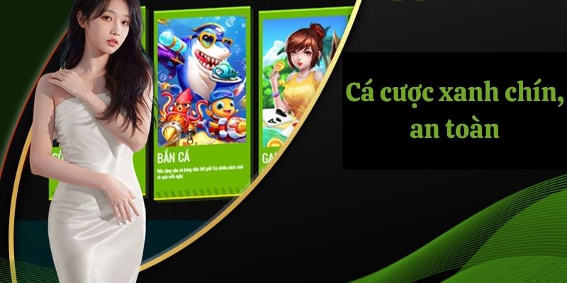 Đăng Ký OK9 - Thả Ga Giải Trí Trực Tuyến Xanh Chín 2 Cá cược online xanh chín, an toàn